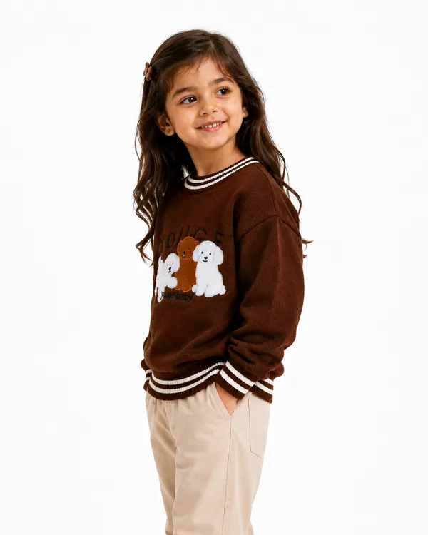 Brown_Knit_Casual_Sweater_For_Girls