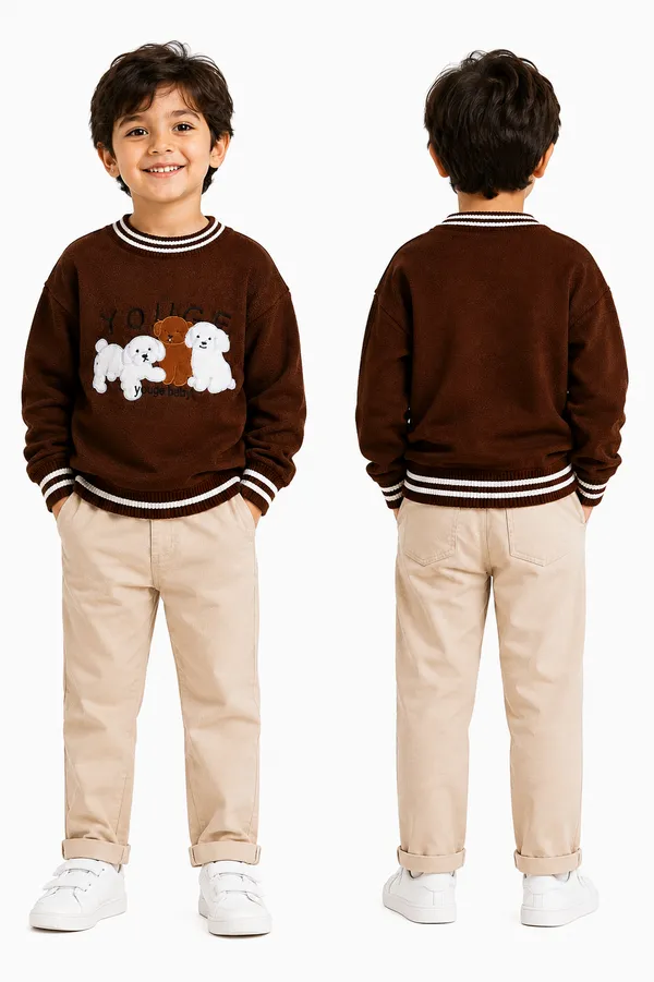 Brown_Knit_Regular_Fit_Sweater_For_Boys