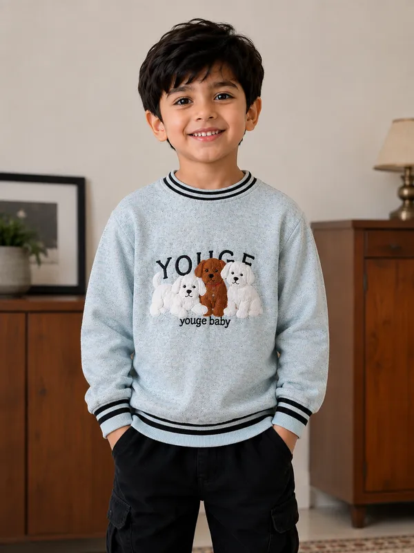 Grey_Casual_Sweater_For_Boys