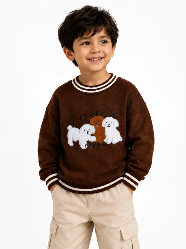Brown_Knit_Regular_Fit_Sweater_For_Boys