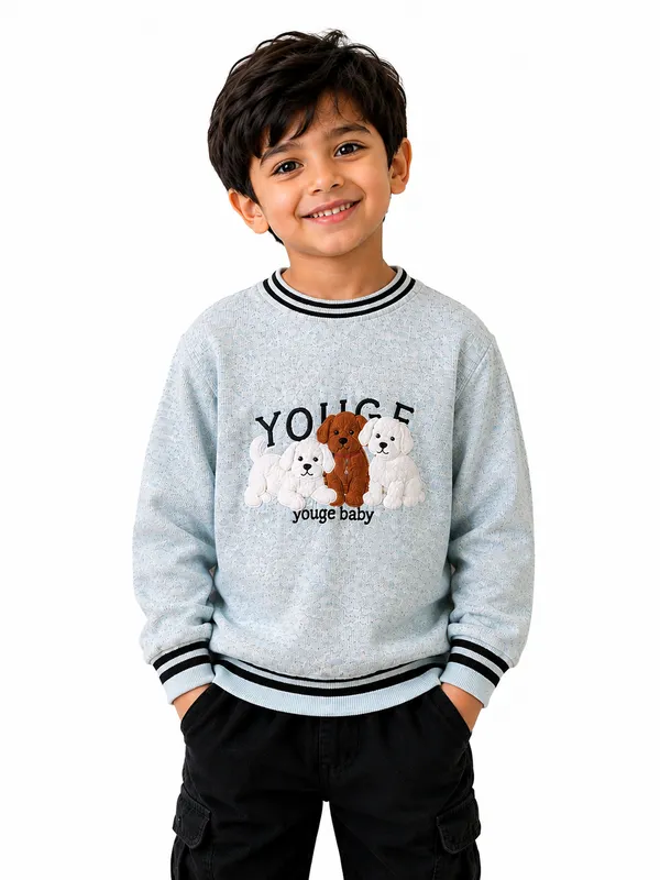 Grey_Casual_Sweater_For_Boys