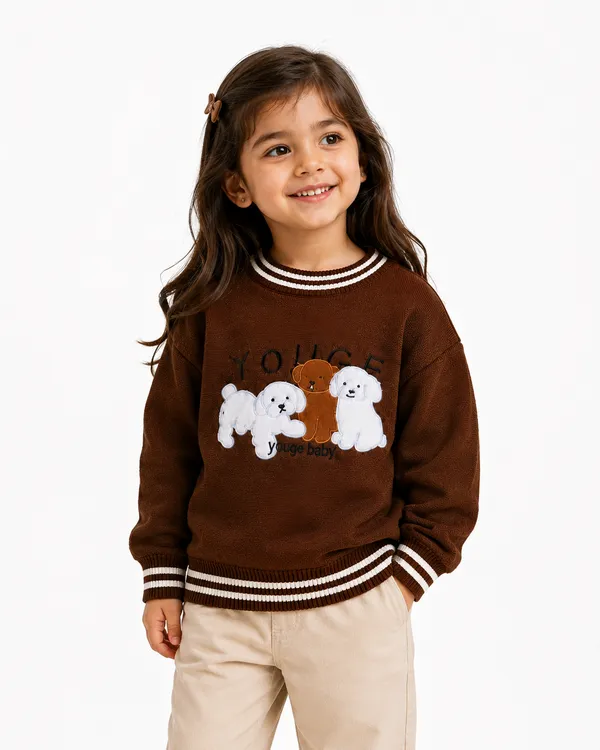Brown_Knit_Casual_Sweater_For_Girls