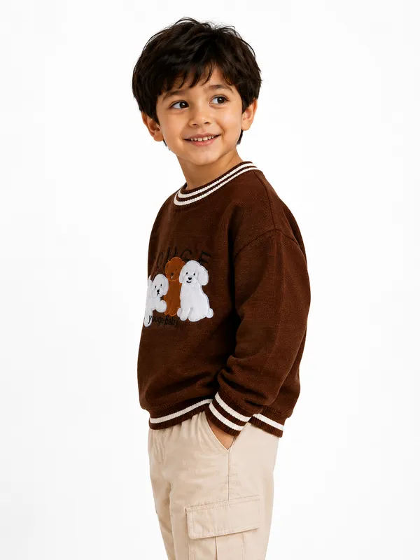 Brown_Knit_Regular_Fit_Sweater_For_Boys