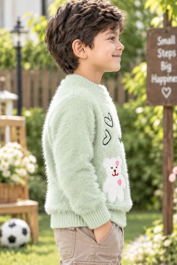 Mint_Green_Knitted_Regular_Fit_Sweater_For_Boys