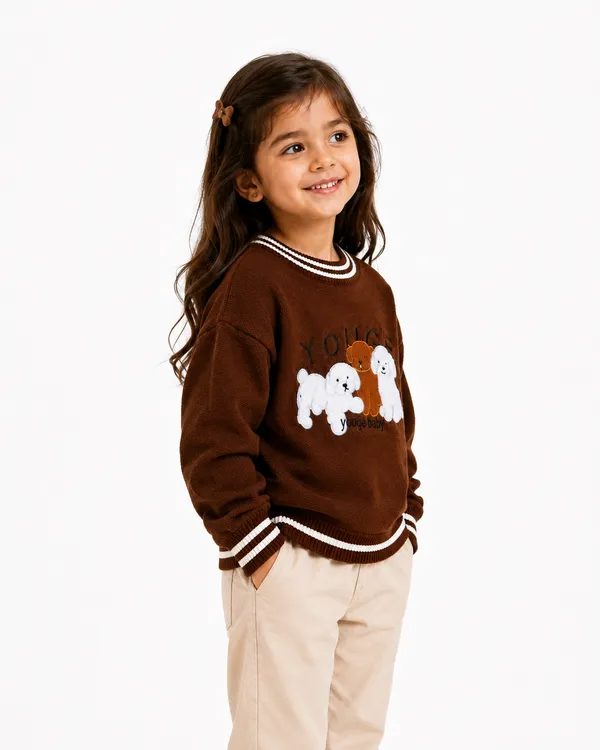 Brown_Knit_Casual_Sweater_For_Girls