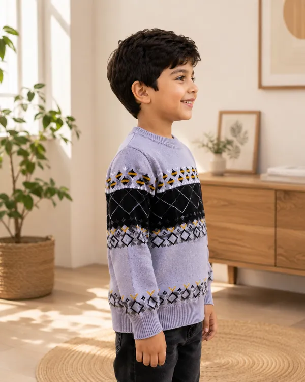 Lavender_Knitted_Regular_Fit_Sweater_For_Boys