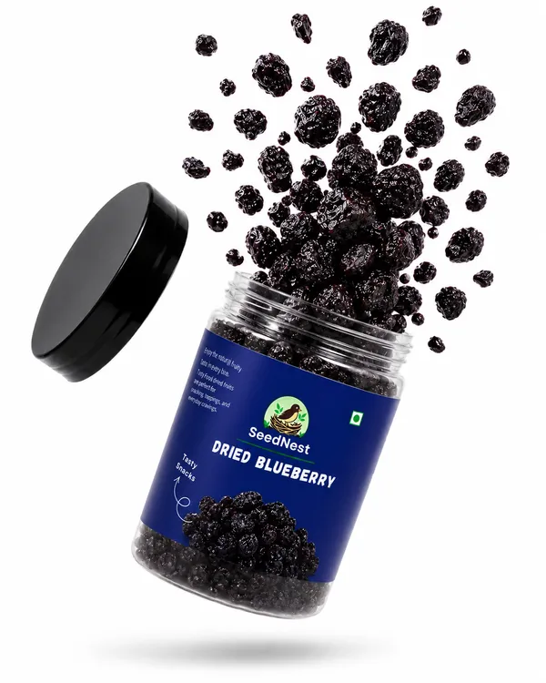 Seednest_Dried_Blueberry