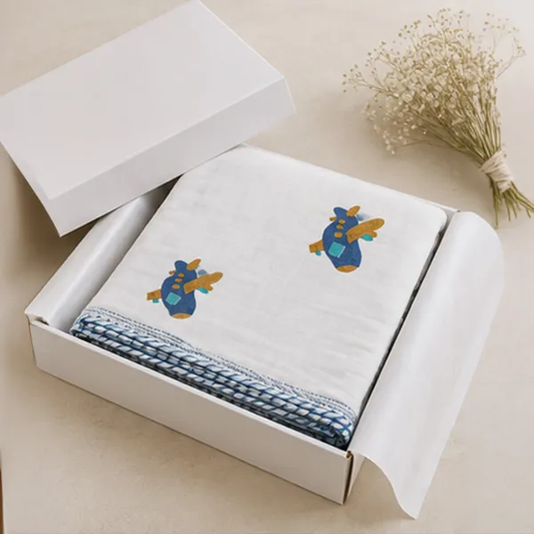 Neel_Aeroplane_Kids_Dohar_Double_Reversible_Cotton_Mulmul_Ac_Dohar_With_Blue_Airplane_Print_Striped_Border_House_Of_Virasaat