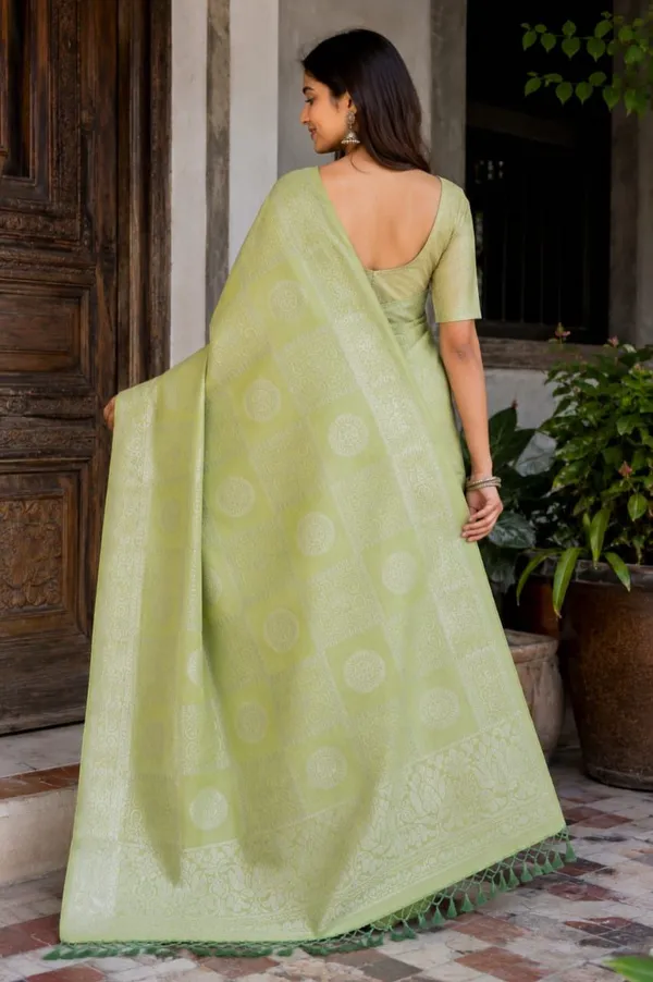 Raamiva_Woven_Daily_Wear_Pure_Cotton_Saree_(Light_Green)