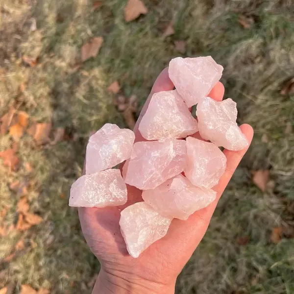 Light_Pink_Raw_Crystal_Rose_Quartz_Rough_Stone_Pieces_For_Unisex_Pack_Of_5