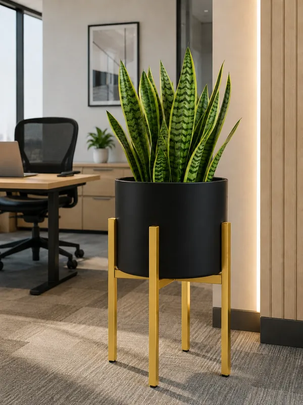 Metal_Modern_Planter_Stand_With_Black_Pot