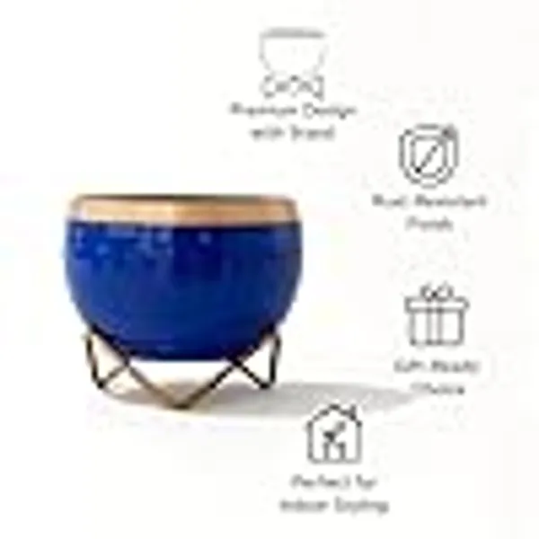 Premium_Indoor_Planter_Pot_With_Gold_Metal_Stand_5_5_Inch_Glossy_Finish_For_Succulents_And_Small_Houseplants_Office_Desk_And_Home_Decor_Royal_Blue_Pack_Of_1