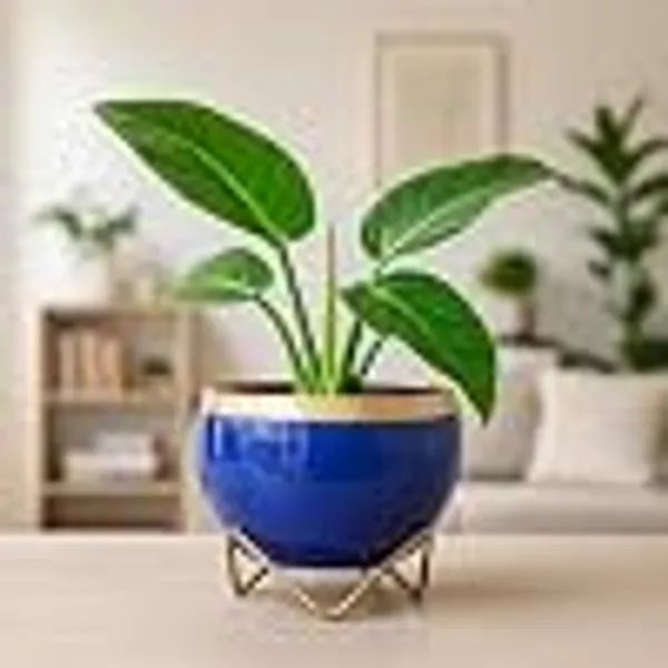 Premium_Indoor_Planter_Pot_With_Gold_Metal_Stand_5_5_Inch_Glossy_Finish_For_Succulents_And_Small_Houseplants_Office_Desk_And_Home_Decor_Royal_Blue_Pack_Of_1