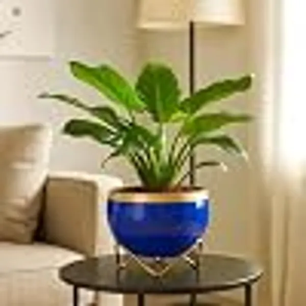 Premium_Indoor_Planter_Pot_With_Gold_Metal_Stand_5_5_Inch_Glossy_Finish_For_Succulents_And_Small_Houseplants_Office_Desk_And_Home_Decor_Royal_Blue_Pack_Of_1