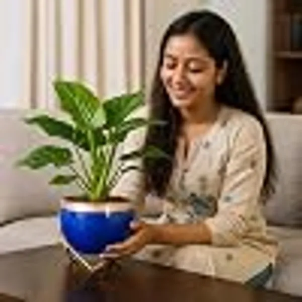 Premium_Indoor_Planter_Pot_With_Gold_Metal_Stand_5_5_Inch_Glossy_Finish_For_Succulents_And_Small_Houseplants_Office_Desk_And_Home_Decor_Royal_Blue_Pack_Of_1