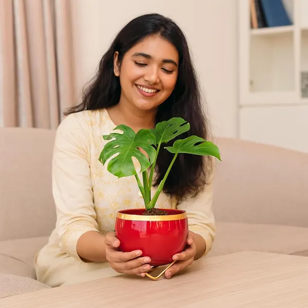Premium_Indoor_Planter_Pot_With_Gold_Metal_Stand_5_5_Inch_Glossy_Finish_For_Succulents_And_Small_Houseplants_Office_Desk_And_Home_Decor_Ruby_Red_Pack_Of_1