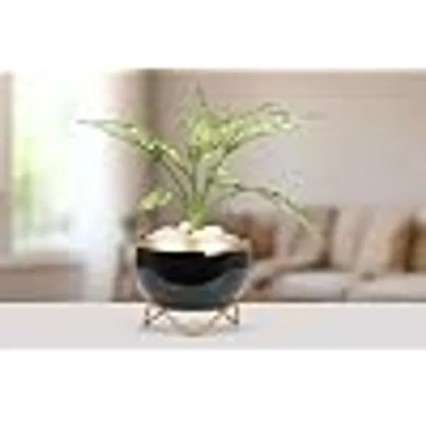 Premium_Indoor_Planter_Pot_With_Gold_Metal_Stand_5_5_Inch_Glossy_Finish_For_Succulents_And_Small_Houseplants_Office_Desk_And_Home_Decor_Jet_Black_Pack_Of_1