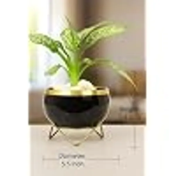 Premium_Indoor_Planter_Pot_With_Gold_Metal_Stand_5_5_Inch_Glossy_Finish_For_Succulents_And_Small_Houseplants_Office_Desk_And_Home_Decor_Jet_Black_Pack_Of_1