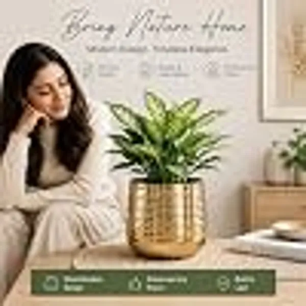 Alfhome_5_5_Gold_Metal_Planter_With_Hammered_Finish_Decorative_Iron_Flower_Pot_Indoor_Plant_Container_For_Home_Decor