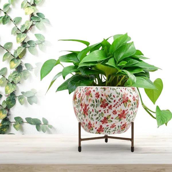 Metal_Floral_Print_Planter_Pot_With_Stand