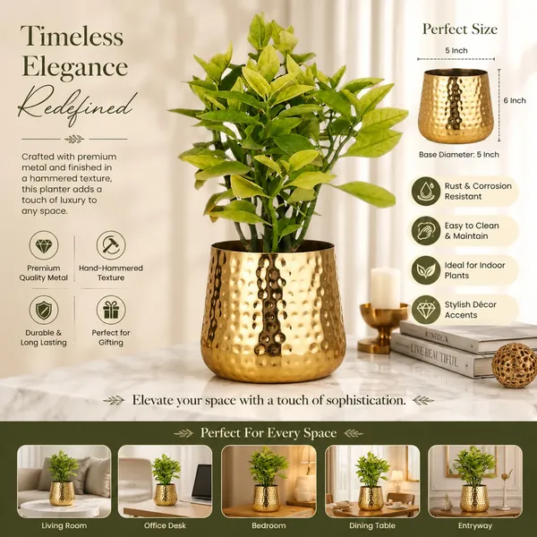 Metal_Contemporary_Hammered_Gold_Decorative_Plant_Pot
