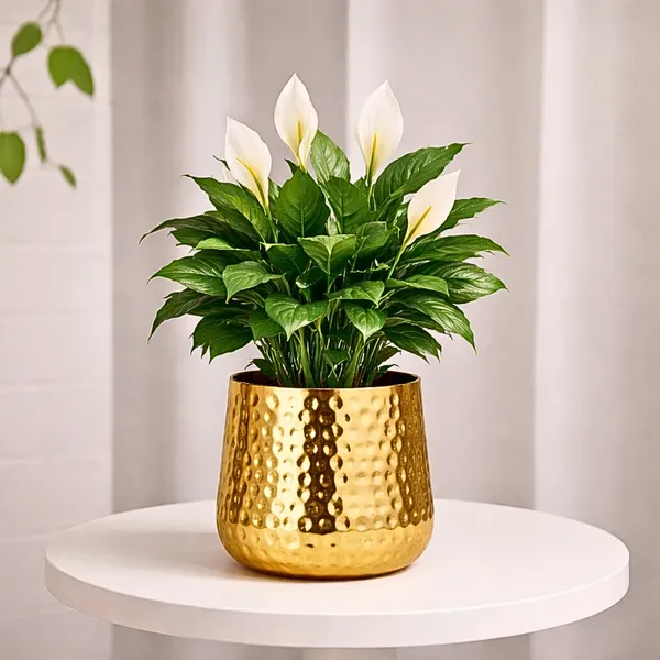 Metal_Contemporary_Hammered_Gold_Decorative_Plant_Pot