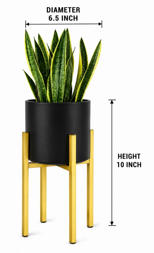Metal_Modern_Planter_Stand_With_Black_Pot