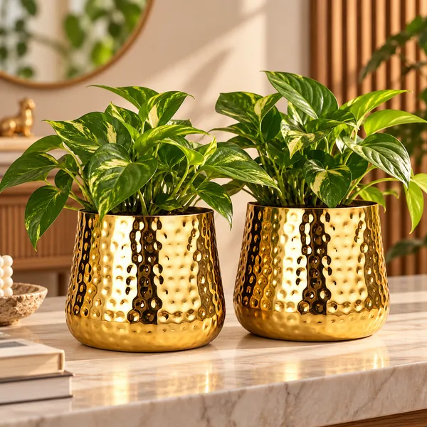 Iron_Contemporary_Hammered_Gold_Planter_Pot_-_Pack_of_2