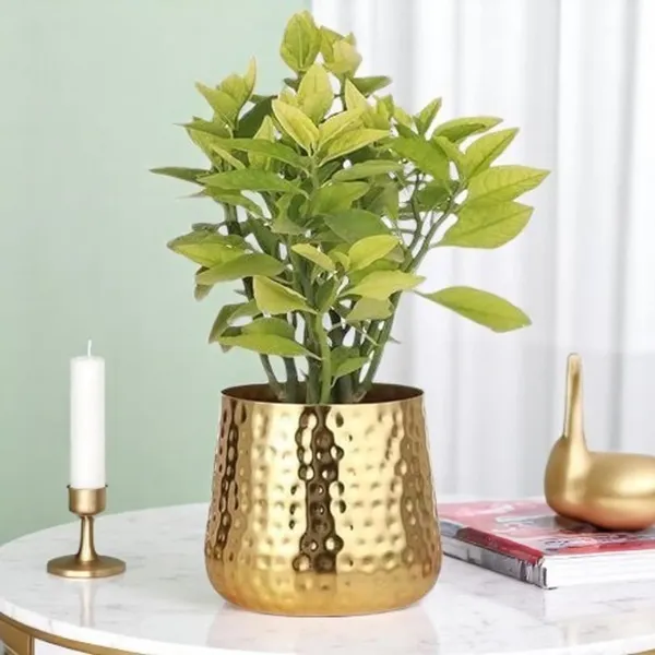 Metal_Contemporary_Hammered_Gold_Decorative_Plant_Pot