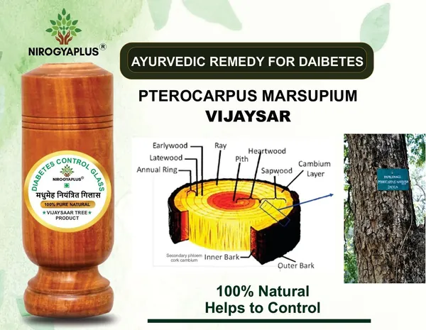 OneClick_Wooden_Sugar_Control_Home_Remedy_Vijaysar_Herbal_Tumbler_Glass_100_ML_P1_Glass_Water/Juice_Glass_(100_ml,_Wood,_Light_Brown)