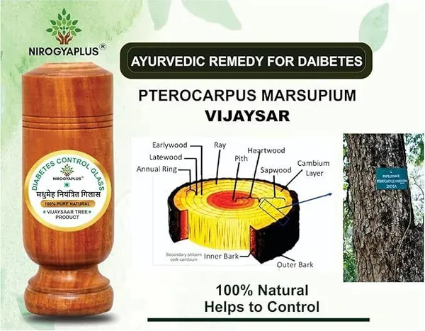 Ansh_Traders_Nirogyaplus_Diabetes_/_Sugar_Control_Glass_Glass_Set_Water/Juice_Glass_(100_ml,_Wood,_Brown)