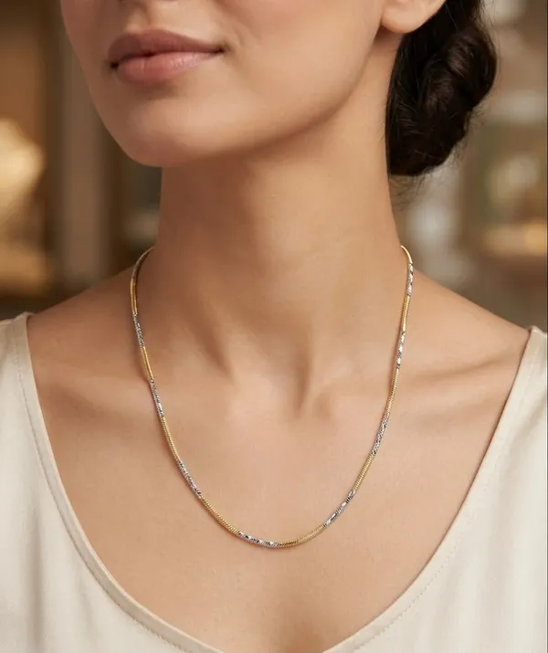 Two_Tone_Delicate_Gold_Chain_Necklace