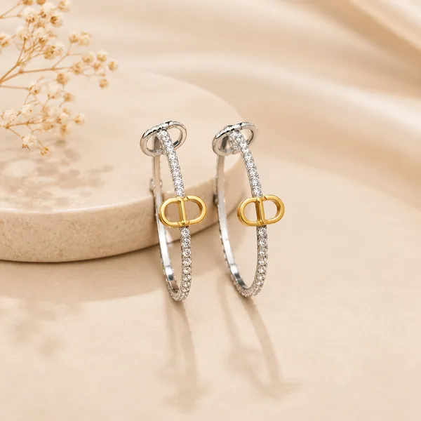 Silver_Stainless_Steel_Crystal_Hoop_Earrings_For_Women