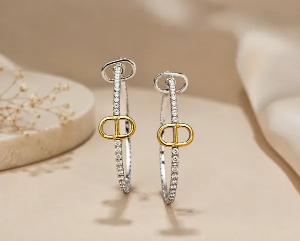 Silver_Stainless_Steel_Crystal_Hoop_Earrings_For_Women