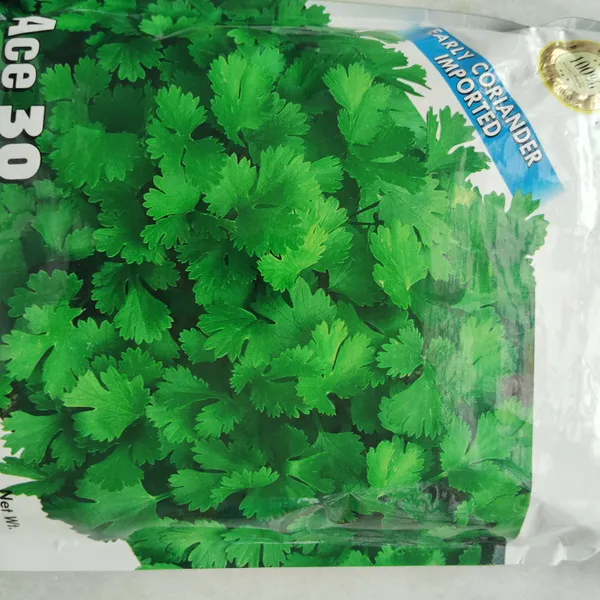 Ace_30_Early_Coriander_Seeds