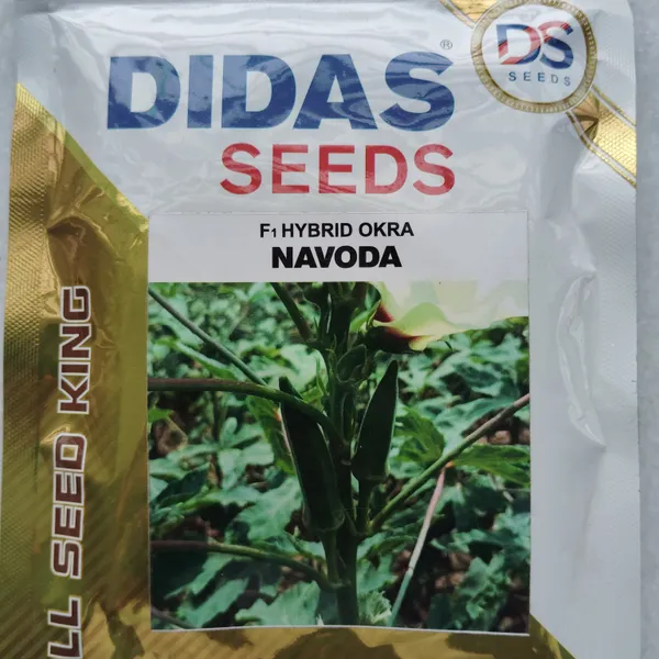 Didas_F1_Hybrid_Okra_Navoda_Seeds