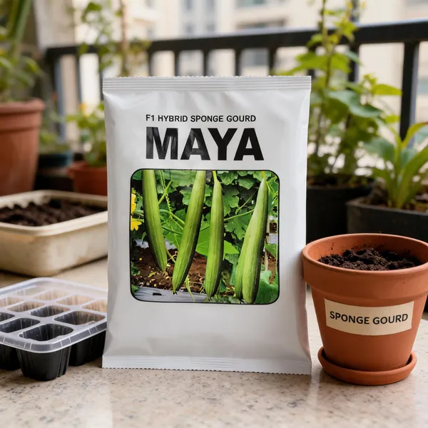 Maya_F1_Hybrid_Sponge_Gourd_Seeds_For_Home_Gardening