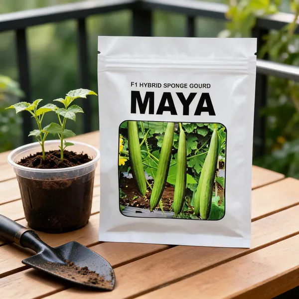 Maya_F1_Hybrid_Sponge_Gourd_Seeds_For_Home_Gardening