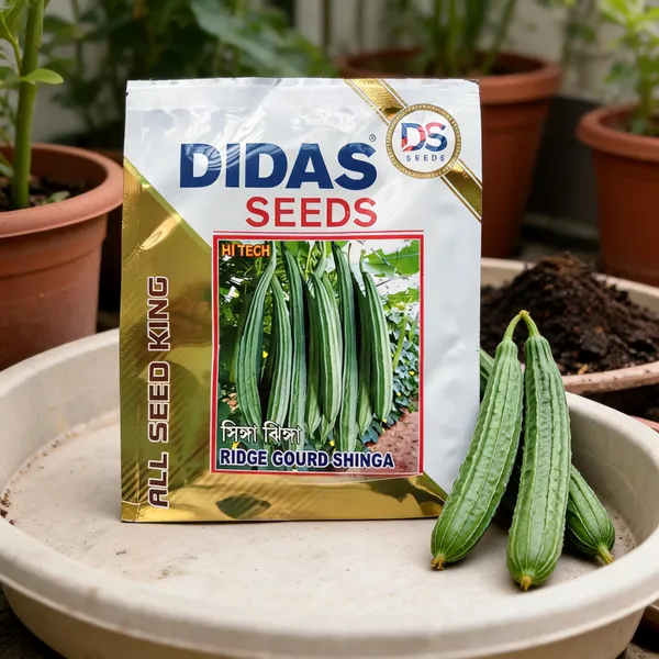 Didas_Ridge_Gourd_Vegetable_Seeds_For_Home_Gardening