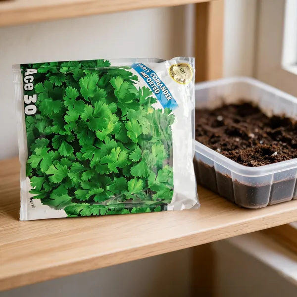 Ace_30_Early_Coriander_Herb_Seeds_For_Home_Gardening