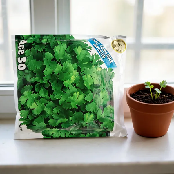 Ace_30_Early_Coriander_Herb_Seeds_For_Home_Gardening