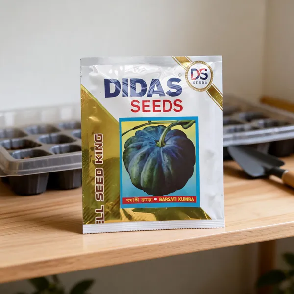 Didas_Barsati_Kumra_Pumpkin_Seeds_For_Home_Gardening