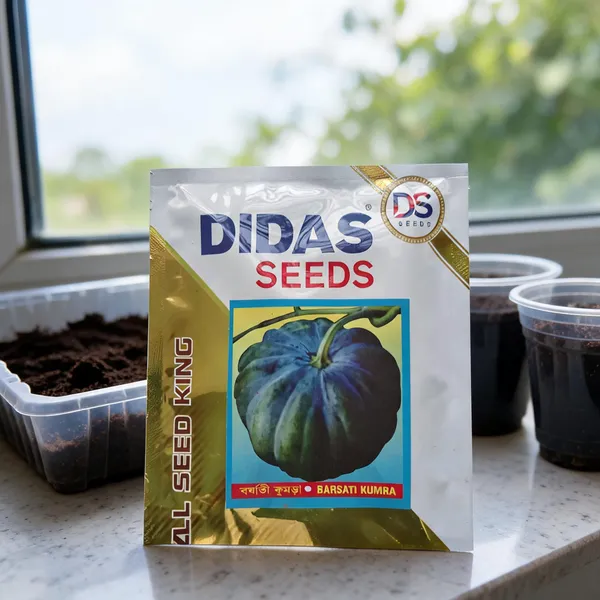 Didas_Barsati_Kumra_Pumpkin_Seeds_For_Home_Gardening