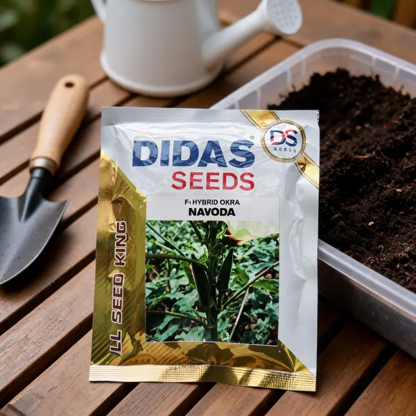 Didas_F1_Hybrid_Okra_Navoda_Seeds_For_Home_Gardening