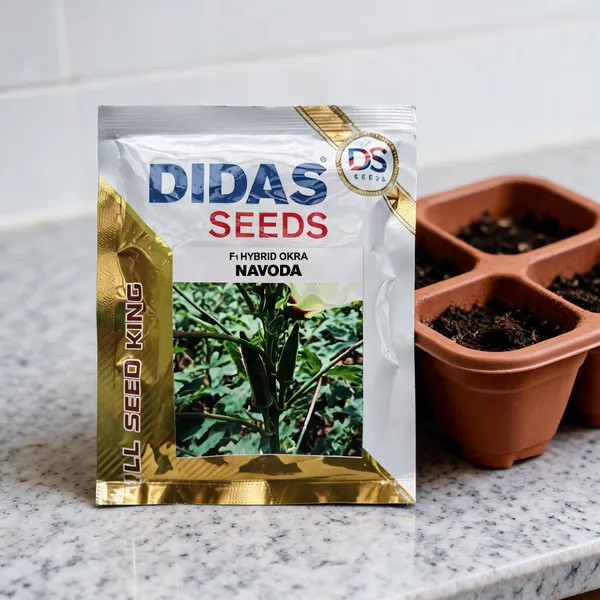 Didas_F1_Hybrid_Okra_Navoda_Seeds_For_Home_Gardening