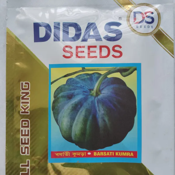 Didas_Barsati_Kumra_Pumpkin_Seeds