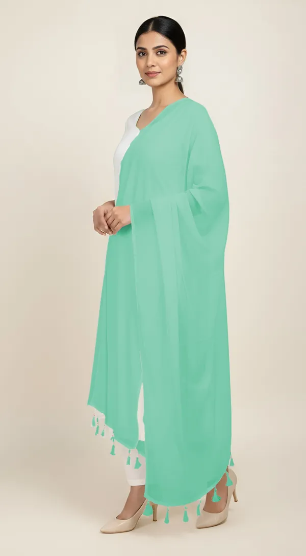 Mint_Green_Sheer_Tassel_Dupatta_for_Women