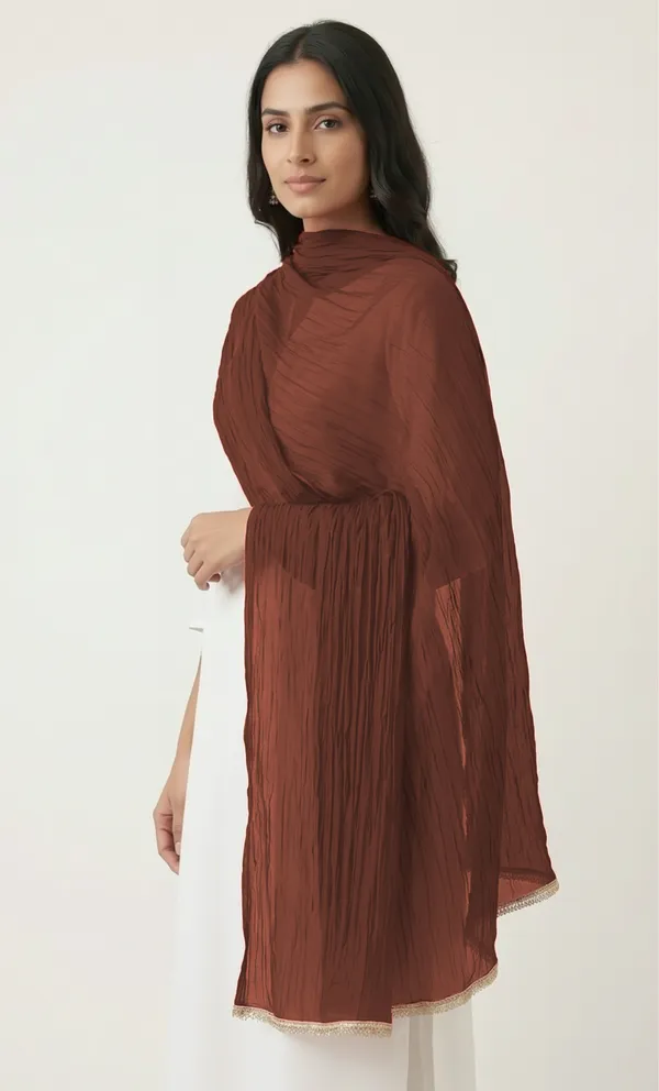 Brown_Chiffon_Embellished_Lace_Trim_Dupatta_For_Women