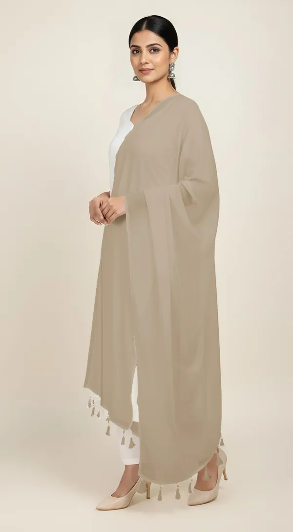 Beige_Sheer_Tassel_Dupatta_For_Women