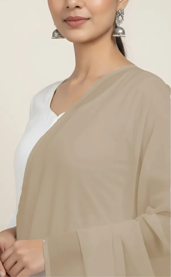 Beige_Sheer_Tassel_Dupatta_For_Women